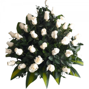 cubrecaja